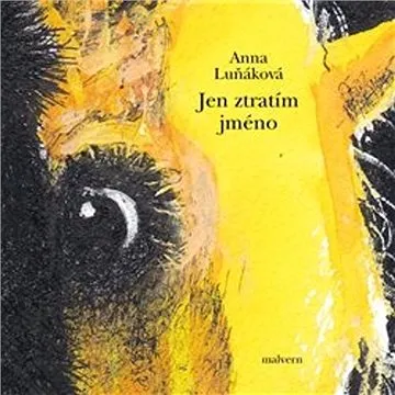 Jen ztratím jméno (978-80-7530-278-6)