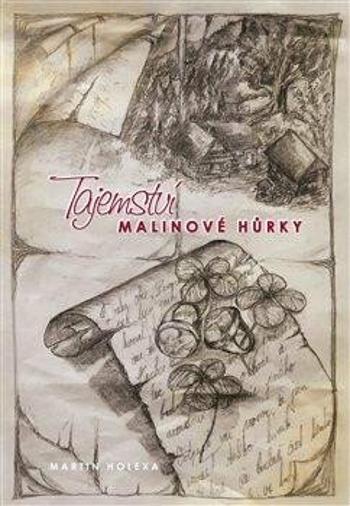 Tajemství Malinové hůrky - Martin Holexa