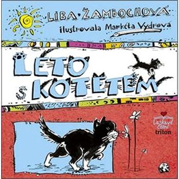 Léto s kotětem (978-80-7387-882-5)