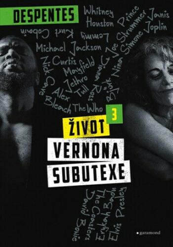 Život Vernona Subutexe 3 - Virginie Despentes