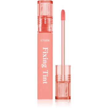 ETUDE Fixing Tint dlouhotrvající rtěnka s matným efektem odstín #03 Mellow Peach 4 g