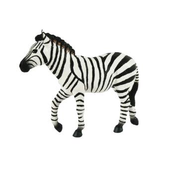 Zebra samec