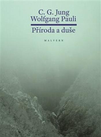 Příroda a duše - Carl Gustav Jung, Wolfgang Ernst  Pauli