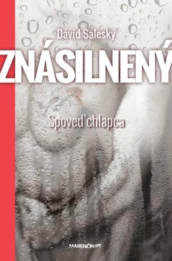 Znásilnený|Spoveď chlapca - Dávid Saleský - e-kniha