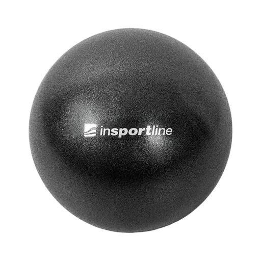 Míč na posilování inSPORTline Aerobic Ball 25 cm černá
