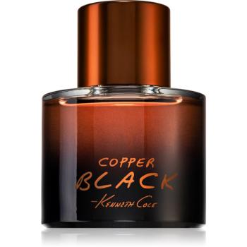 Kenneth Cole Copper Black toaletní voda pro muže 100 ml