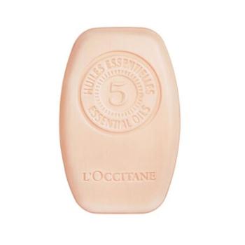 L`Occitane en Provence Tuhý regenerační šampon (Intensive Repair Solid Shampoo) 60 g