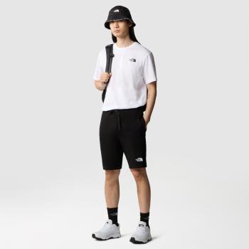 The north face m graphic short light-eu xl