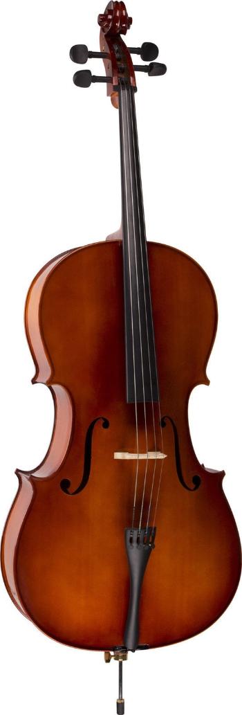 Valencia CE160G 4/4 Violončelo