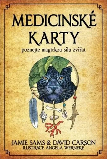 Medicinské karty (Kniha a 52 karet) - David Carson, Jamie Sams, Angela Werneke