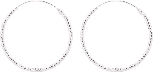 JVD Stříbrné náušnice kruhy SVLE0216XD500 2 cm