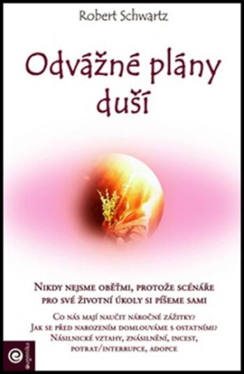 Odvážné plány duší - Robert Schwartz