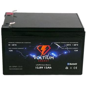 Voltium Energy LiFePO4 smart baterie VE-SPBT-1212, 12V, 12Ah  (VE-SPBT-1212)