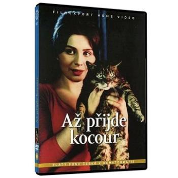 Až přijde kocour - DVD (9727)