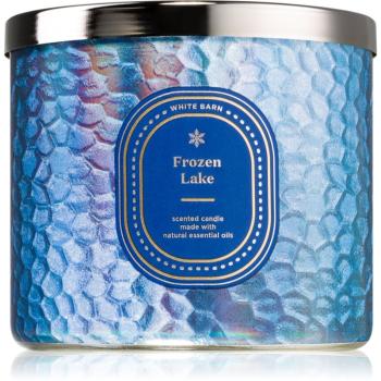 Bath & Body Works Frozen Lake vonná svíčka 411 g