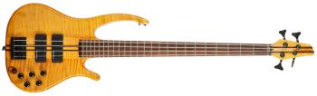 Grebeň 2008 Custom Bass 4 NT