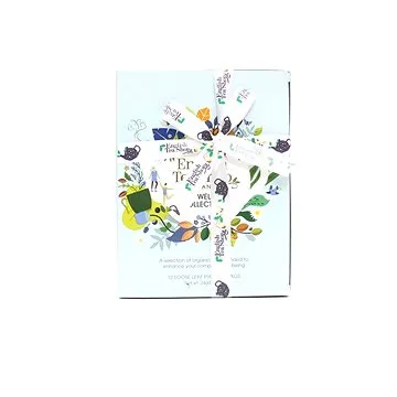 English Tea Shop Dárková sada Wellness pyramidek 24 g, 12 ks bio ETS12 (60888)