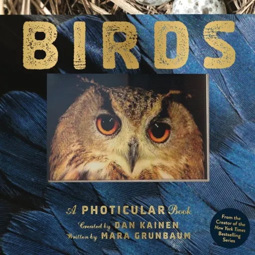 Birds - Dan Kainen, Mara Grunbaum