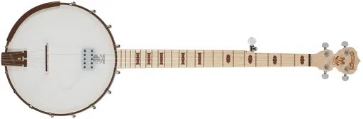 Deering Goodtime Acoustic/Electric