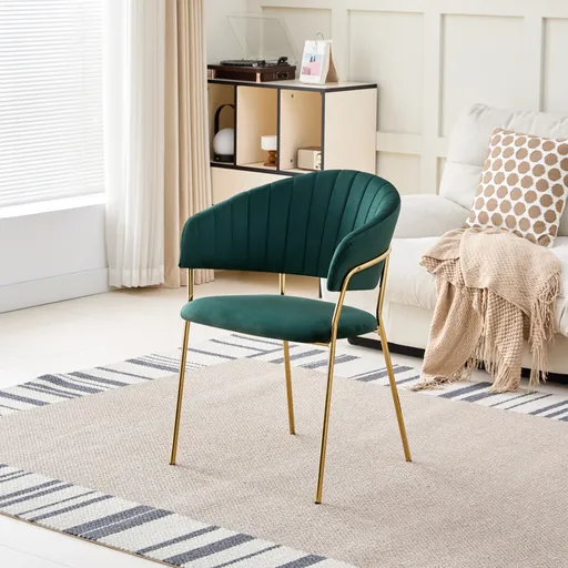 Jídelní židle DASMIN 1 Tempo Kondela