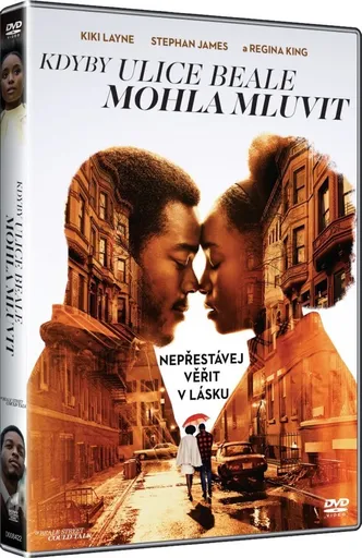 Kdyby ulice Beale mohla mluvit (DVD)