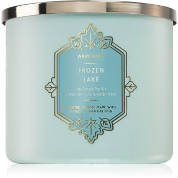 Bath & Body Works Frozen Lake lumânare parfumată 411 g