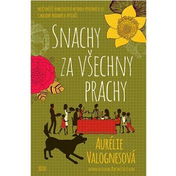 Snachy za všechny prachy (978-80-7565-846-3)