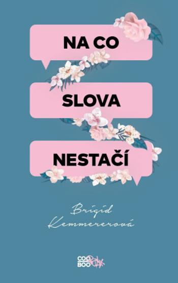 Na co slova nestačí - Brigid Kemmererová