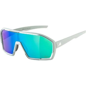 Alpina Sports BONFIRE Q-LITE Napszemüveg, szürke, méret