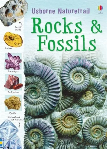 Rocks and Fossils - Reid Struan