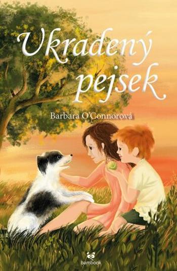 Ukradený pejsek - Barbara O'Connor - e-kniha