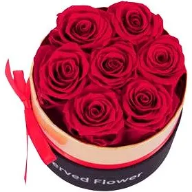 Medvídárek kulatý box se 7 stabilizovanými růžemi (0702338310065)
