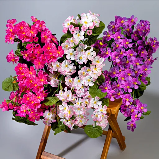 3 převislé muškáty