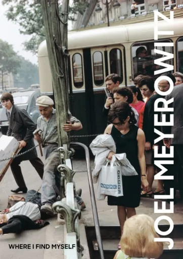 Joel Meyerowitz: Where I Find Myself - Colin Westerbeck