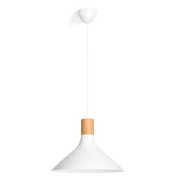 Philips - Stropní závěsné svítidlo E27/60W/230V (66549)