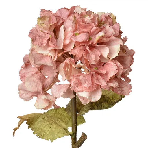 Růžová dekorační květina hortenzie Hydrangea - 10*10*55 cm 6PL0333P