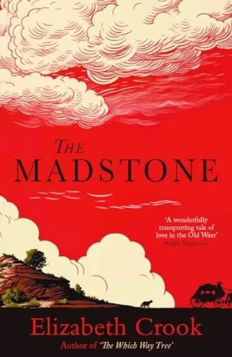 The Madstone - Elizabeth Crook