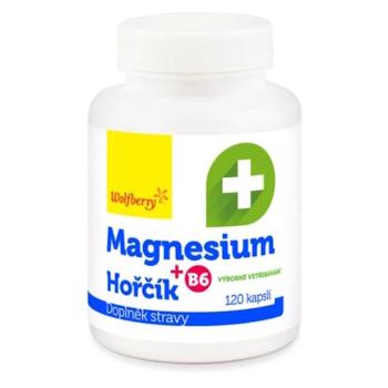 WOLFBERRY Magnesium + B6 120 kapsúl