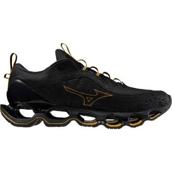 Mizuno WAVE PROPHECY 13 Unisex běžecká obuv, černá, velikost 42.5