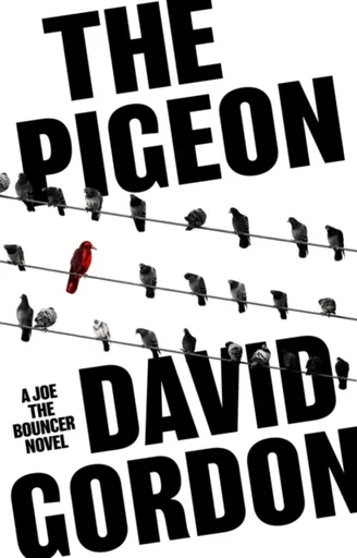 The Pigeon - David Gordon