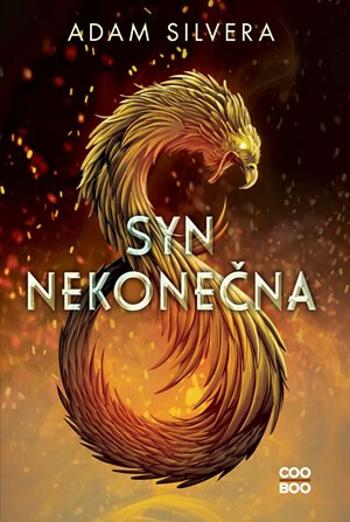 Syn nekonečna - Adam Silvera