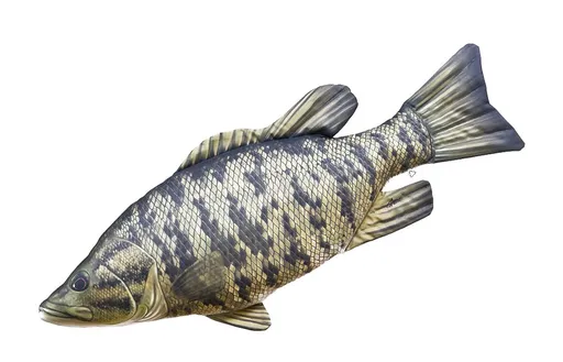 Gaby Polštář Okounek černý mini 35 cm,Gaby Polštář Okounek černý mini 35 cm