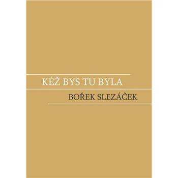 Kéž bys tu byla (978-80-265-1088-8)