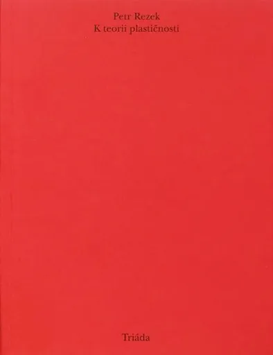 K teorii plastičnosti - Petr Rezek