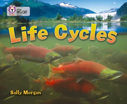 Life Cycles - Sally Morganová