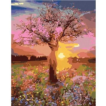 Diamondi - Diamantové malování - SVÍTÁNÍ, 40x50 cm, bez rámu a bez vypnutí plátna (602117A)