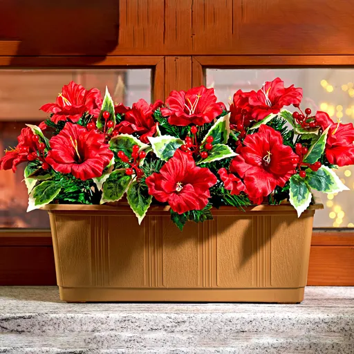 3 kytice do truhlíku Amarylis