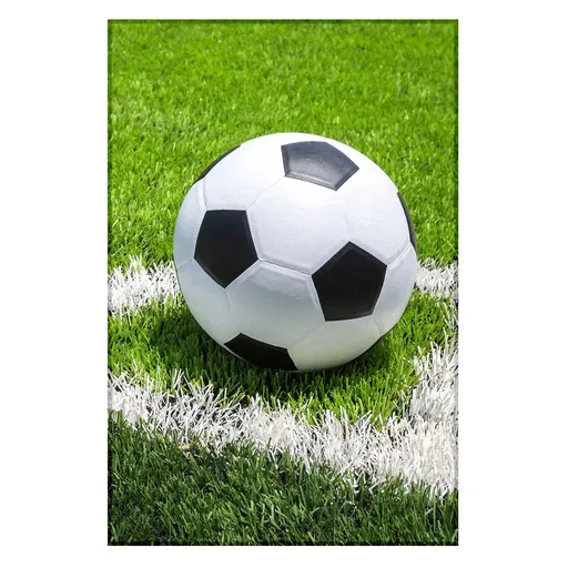 Jerry Fabrics Fleecová deka s motivem Fotbal - 100 x 150 cm