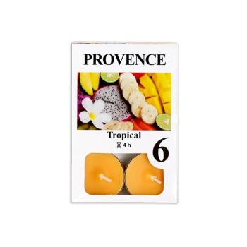 Čajová sviečka PROVENCE 6ks tropical