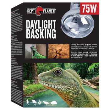 Repti Planet žárovka Daylight Basking Spot 75W